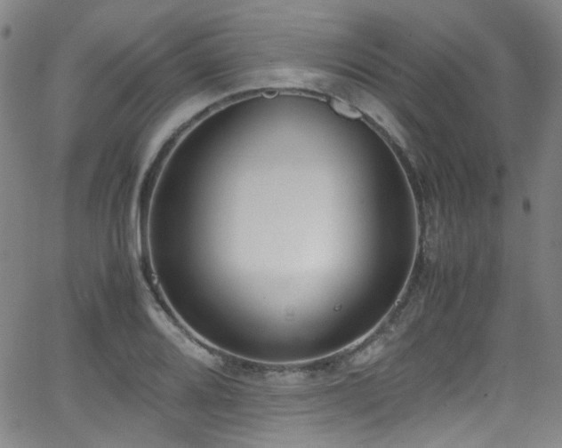 X0000062931080200601131505