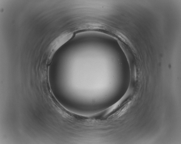 X0000062931081200601131505