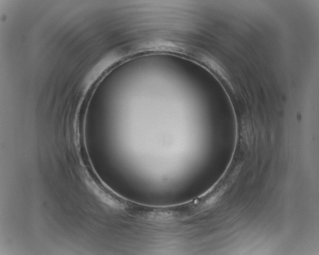 X0000062931082200601131505