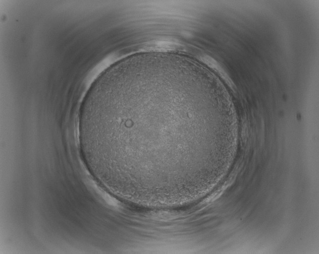 X0000062931083200601131505