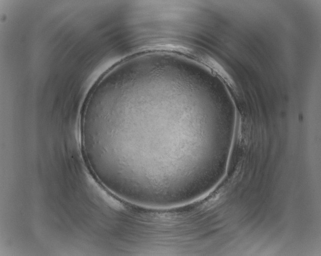 X0000062931084200601131505