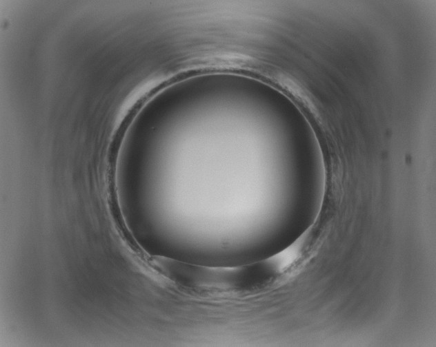 X0000062931085200601131505