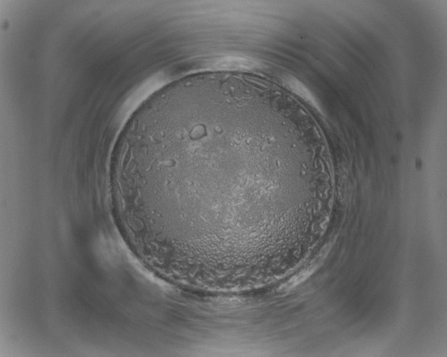 X0000062931087200601131505