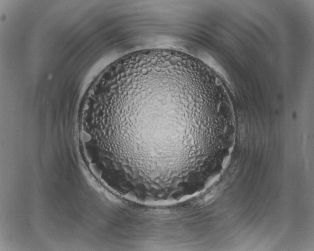 X0000062931088200601131505