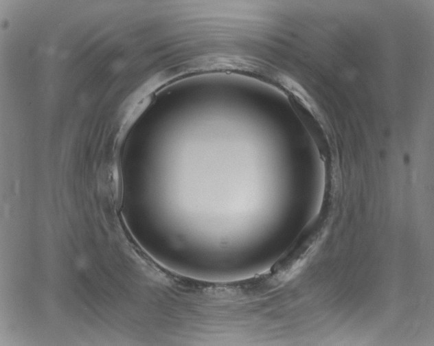 X0000062931089200601131505