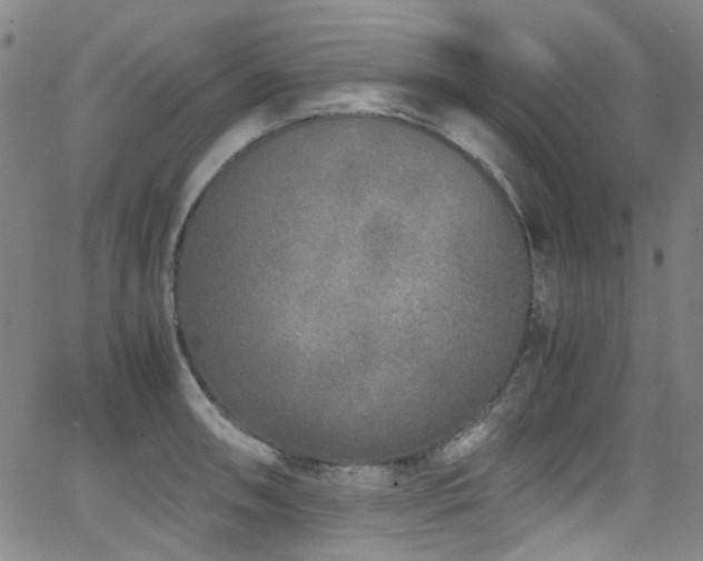 X0000062931090200601131505