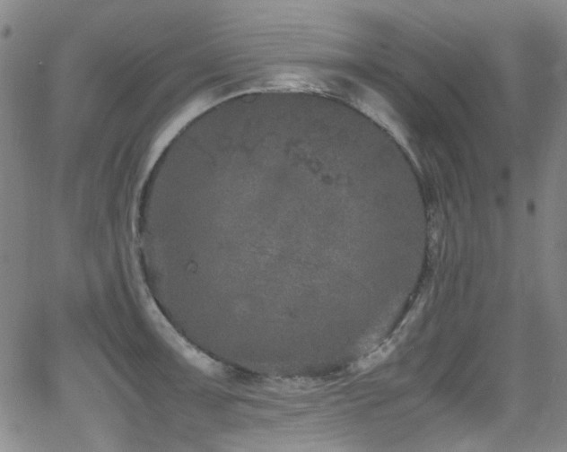 X0000062931091200601131505