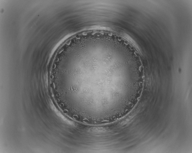 X0000062931092200601131505