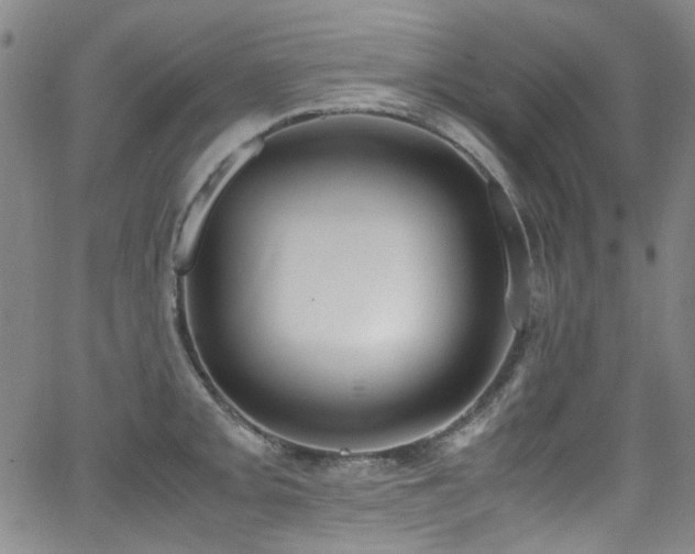 X0000062931093200601131505