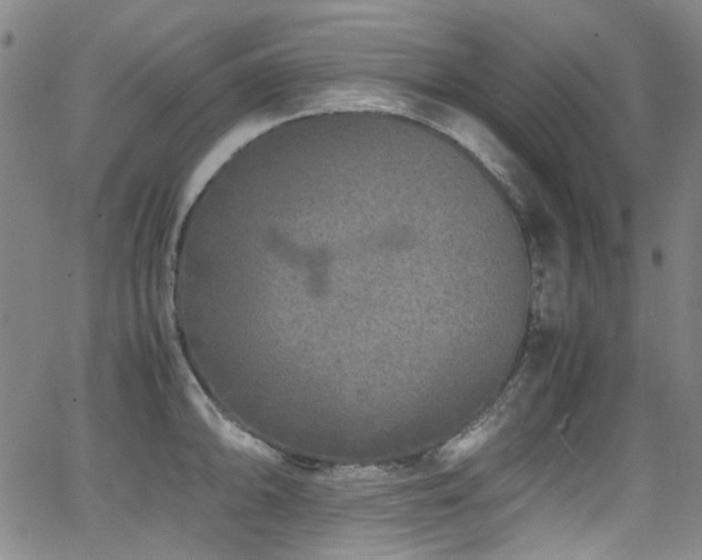 X0000062931094200601131505