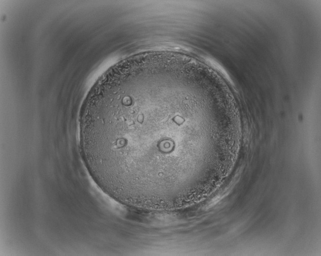 X0000062931095200601131505