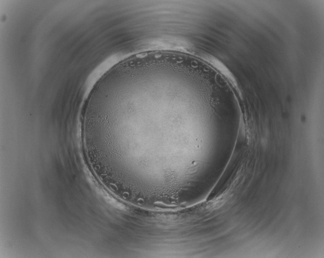 X0000062931096200601131505