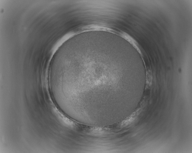 X0000062931098200601131505