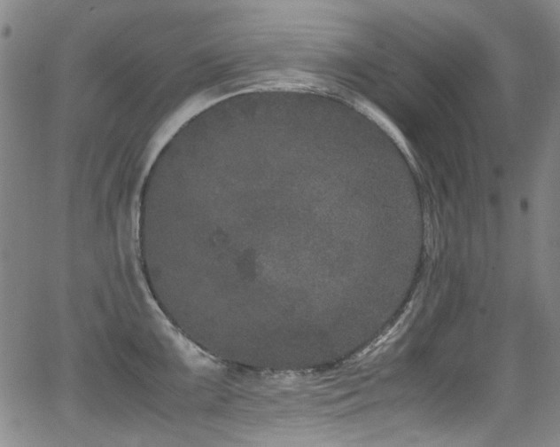 X0000062931099200601131505