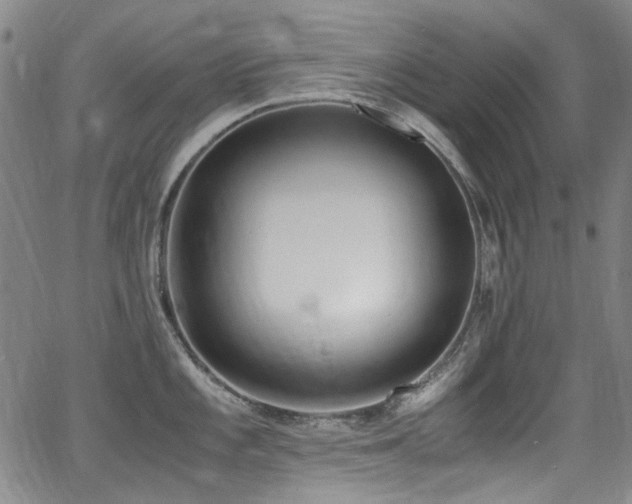 X0000062931101200601131505