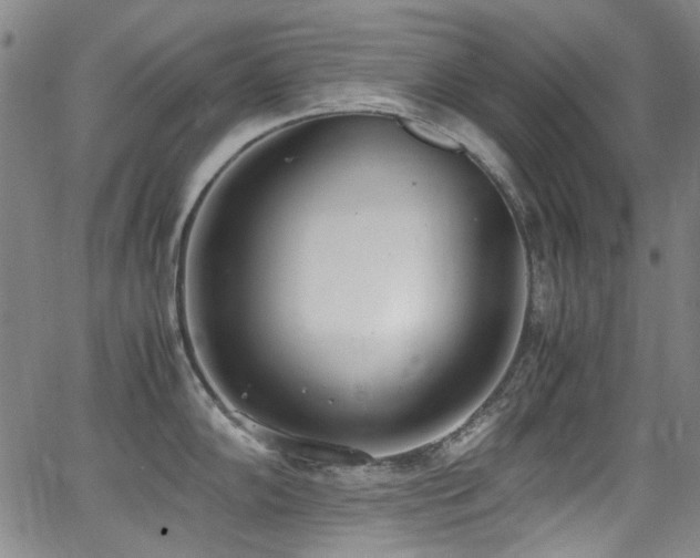 X0000062931102200601131505