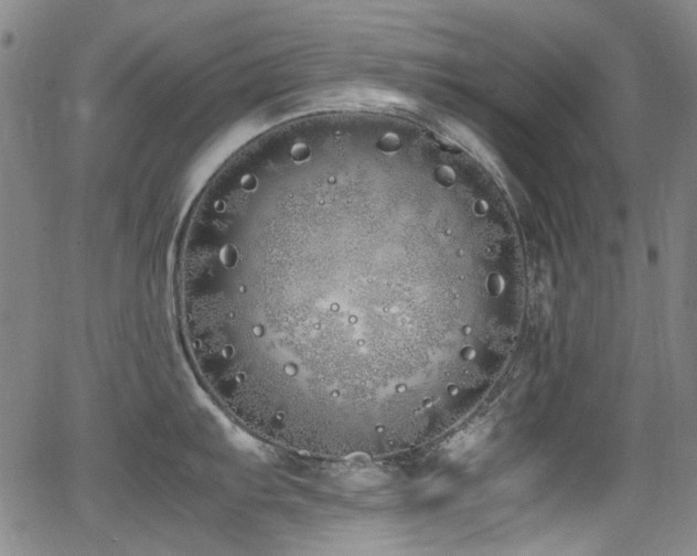 X0000062931103200601131505