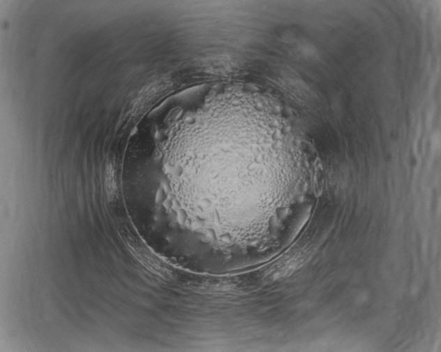 X0000062931106200601131504