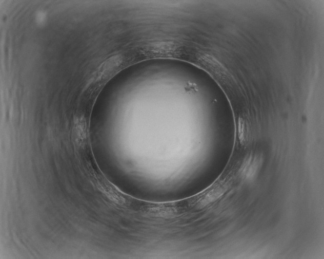 X0000062931107200601131504