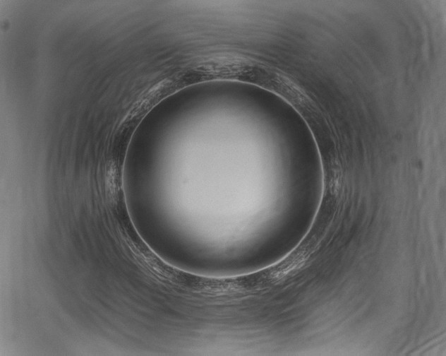 X0000062931108200601131504