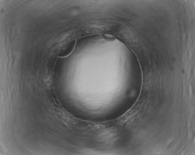 X0000062931109200601131504