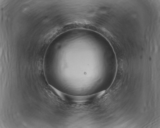 X0000062931110200601131504