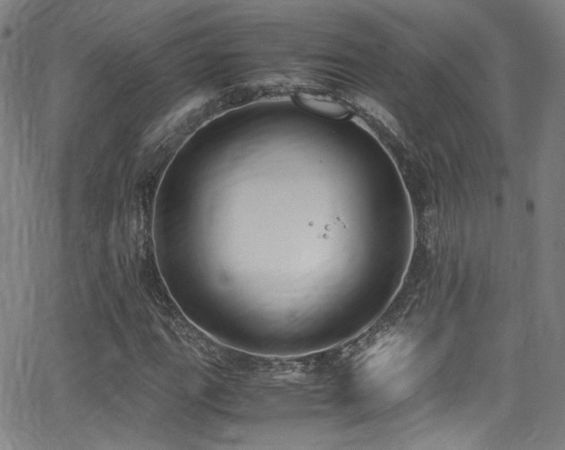 X0000062931111200601131504