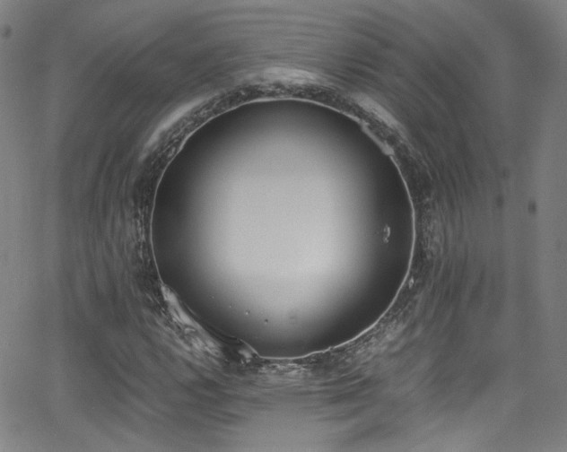 X0000062931112200601131504