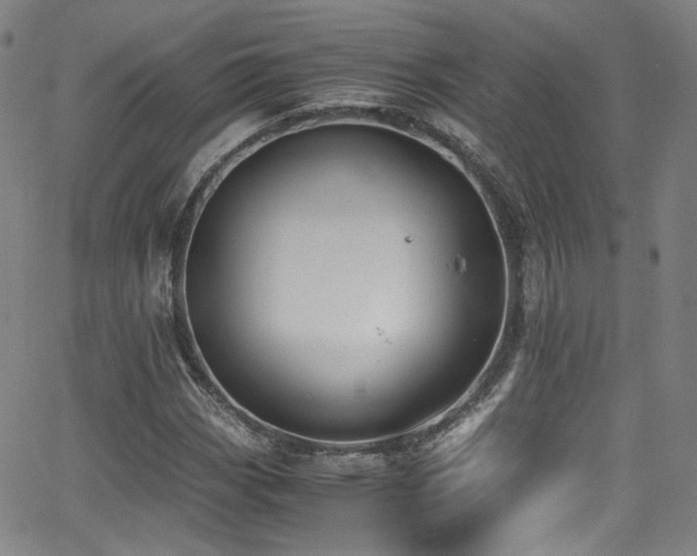 X0000062931113200601131504