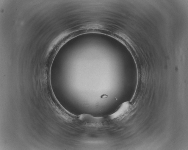 X0000062931115200601131504