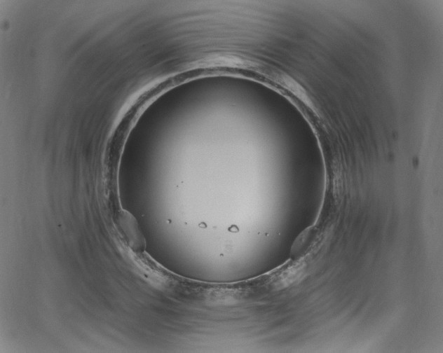 X0000062931116200601131504