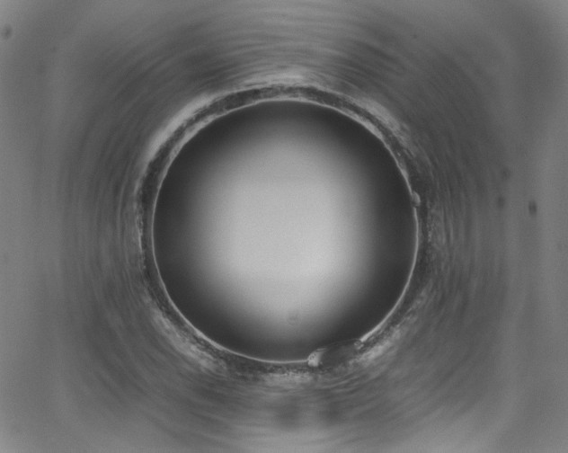 X0000062931118200601131504