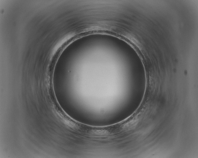 X0000062931119200601131504