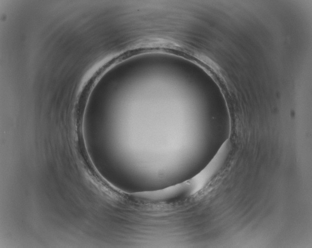 X0000062931120200601131504