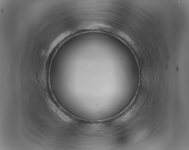 X0000062931122200601131504