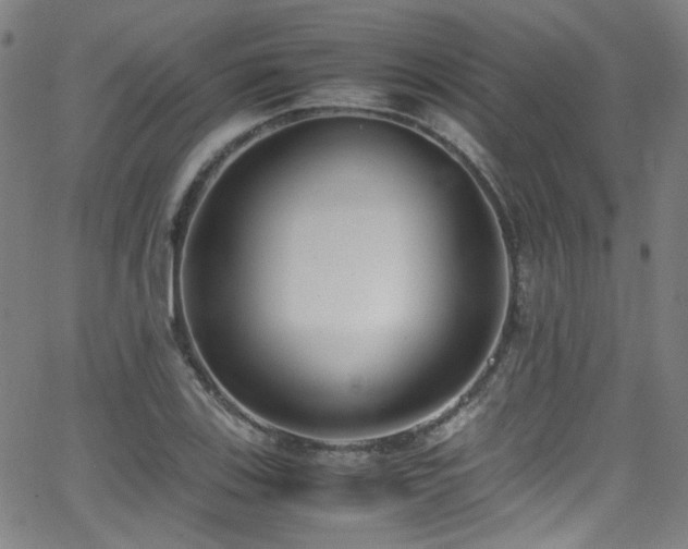 X0000062931123200601131504