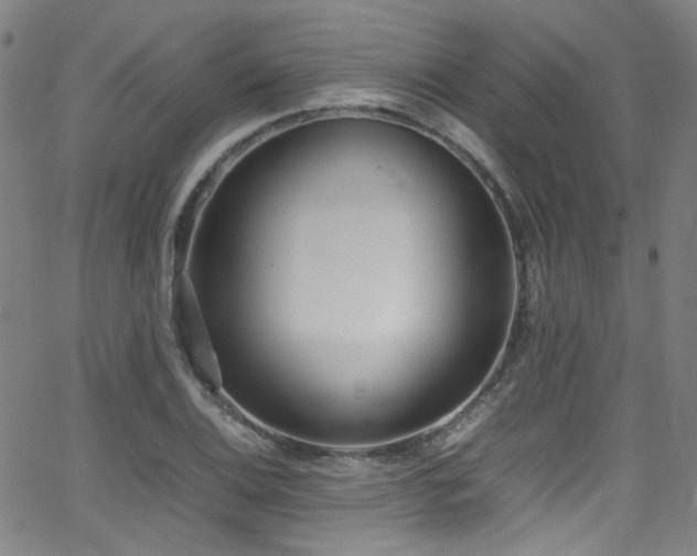 X0000062931124200601131504