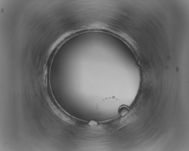 X0000062931126200601131504