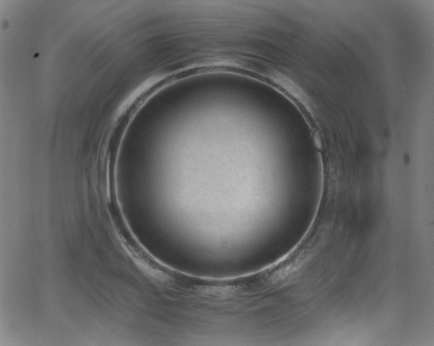 X0000062931127200601131504