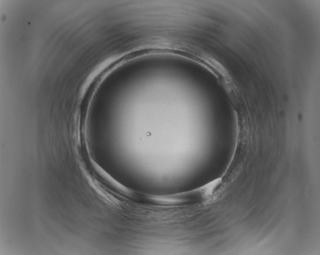 X0000062931128200601131504