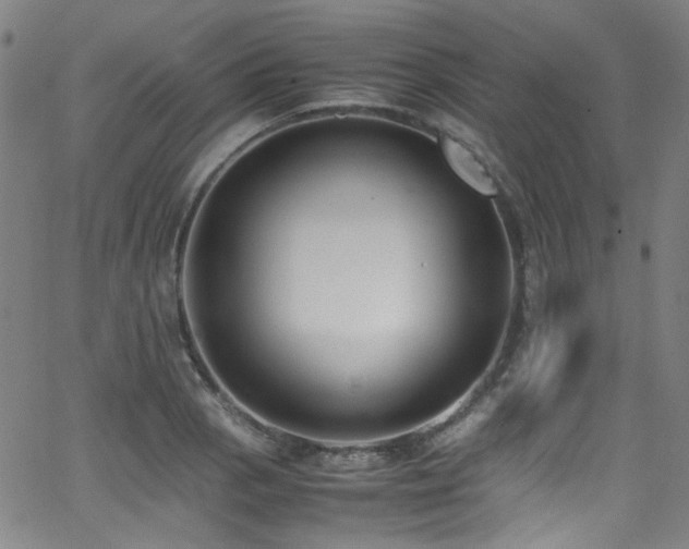 X0000062931129200601131504