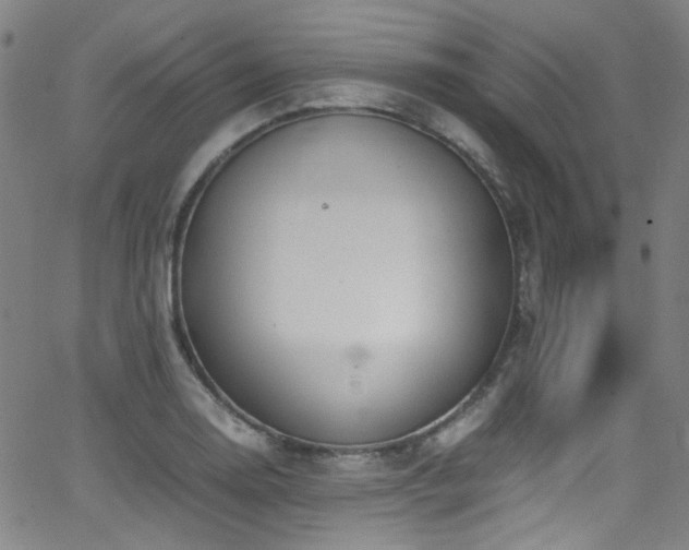 X0000062931130200601131504