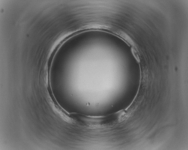 X0000062931132200601131504