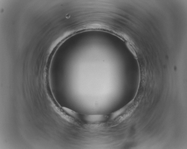 X0000062931134200601131504