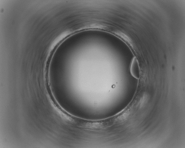 X0000062931135200601131504