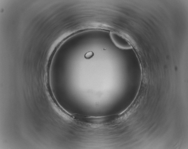 X0000062931136200601131504