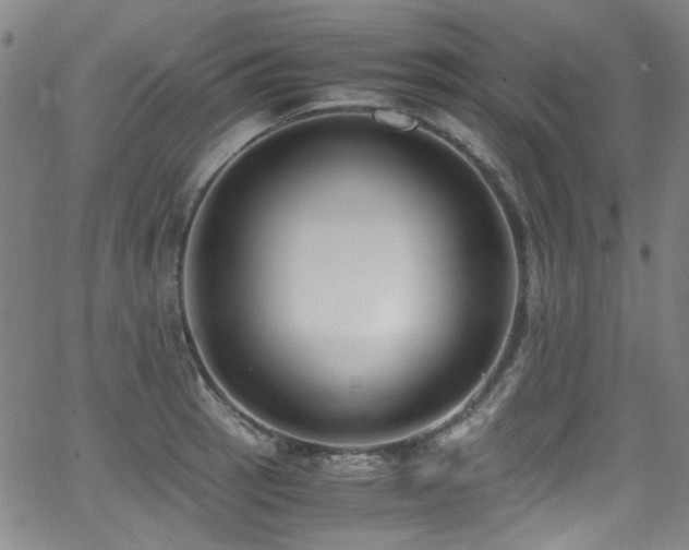 X0000062931137200601131504