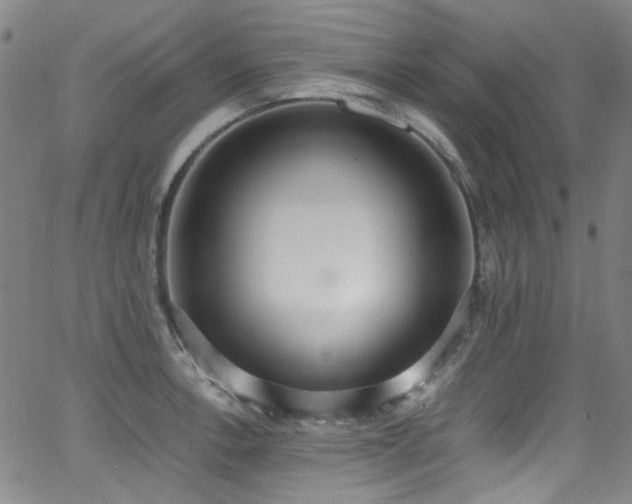 X0000062931138200601131504