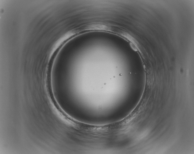 X0000062931139200601131504