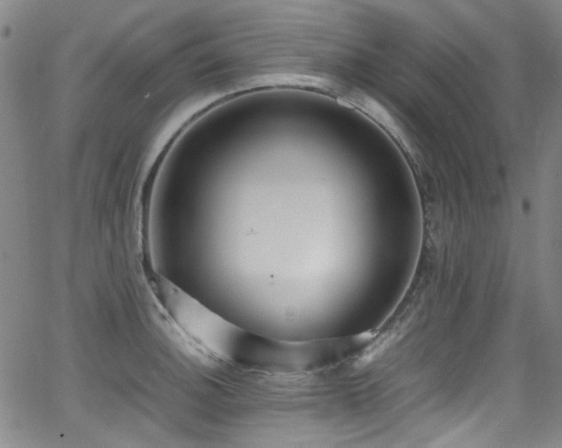 X0000062931140200601131504